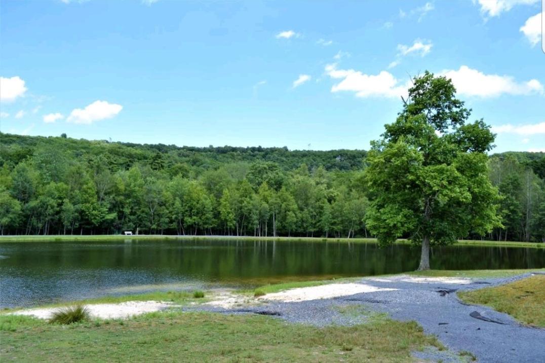 *Amenity-Filled Waterfront Oasis @Saw Creek Estates Near Waterfalls And Hiking* Ийст Страудсбърг Екстериор снимка