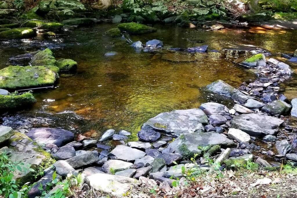 *Amenity-Filled Waterfront Oasis @Saw Creek Estates Near Waterfalls And Hiking* Ийст Страудсбърг Екстериор снимка
